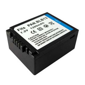 Panasonic DMW-BLB13PP Battery Pack
