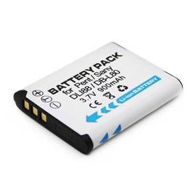Sanyo DB-L80 Battery Pack